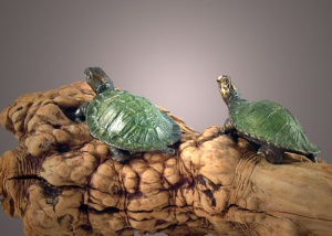 Mini Turtles 1 Bronze Jammey Huggins